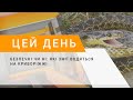 Безпечні чи ні які змії водяться на Криворіжжі Безпечні чи ні які змії водяться на Криворіжжі