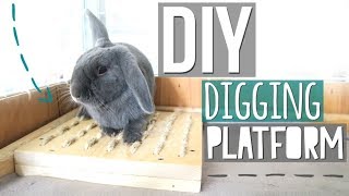 DIY Digging Platform for Rabbits