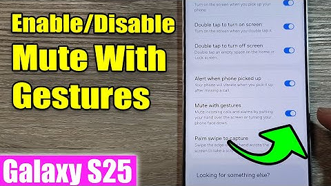 Galaxy S25/S25+/Ultra: How to Enable/Disable Mute With Gestures