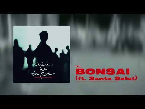 Chystemc, Mani Deïz, Santa Salut - BONSÁI