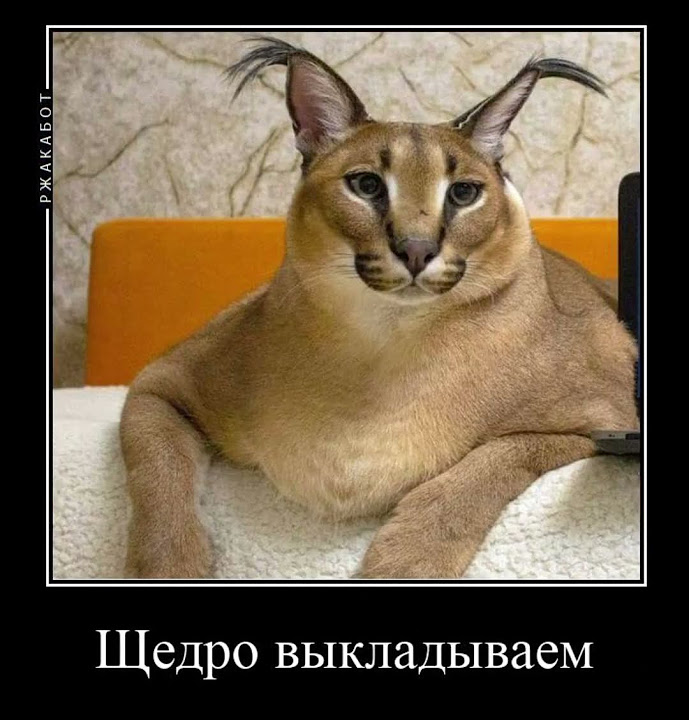 Шлёпа рецепт пельменей - YouTube