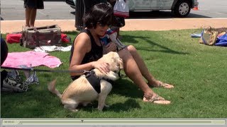 8-24 Angels Among Us Pet Rescue