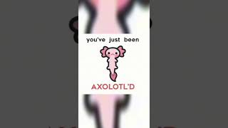 Youve Just Been Axolotld axolotl cute fypviral