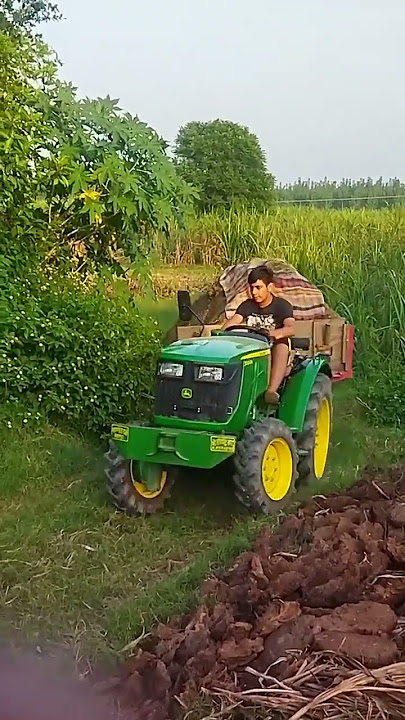 Johndeere 3028en mini tractor on bugghi#nishudeshwal #tractorlover #johndeere #newholland#shorts #yt