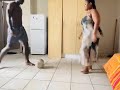 This guy has definitely won at life 😅 – News54
