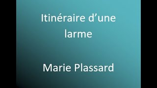 Itinéraire d'une larme - Marie Plassard (cover) avec parole