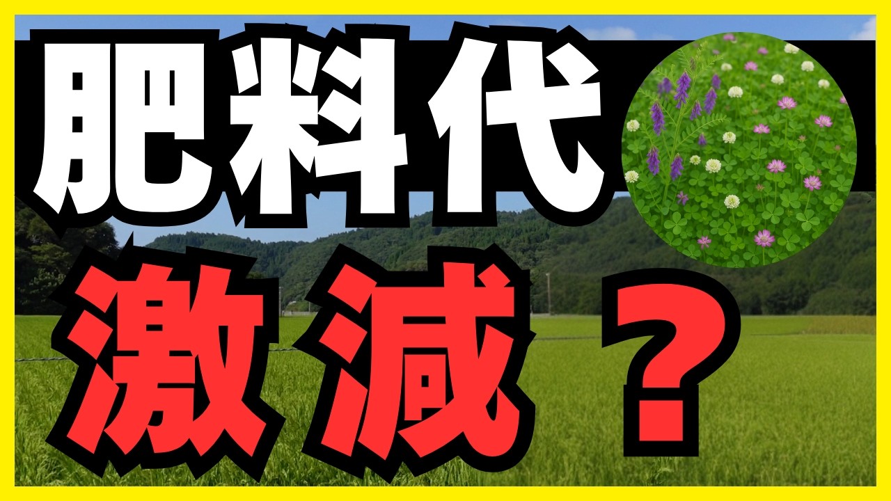 【お米農家向け】緑肥でコスト削減！化学肥料を減らして窒素を増やす土づくりの教科書