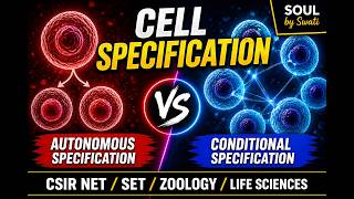 Developmental Biology: Cell Specification (Autonomous &amp; Conditional)|CSIR  Life science|SET|zoology 