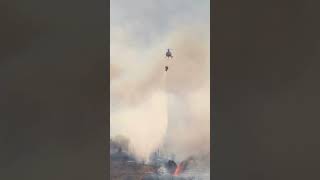 Fighting Wildfires Urgent Solutions For California And Los Angeles