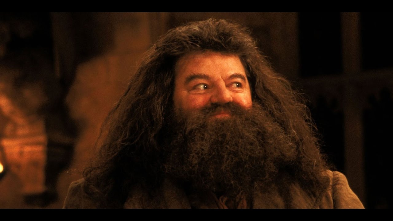 Hagrid | Rainbow Six Siege With KrypticElement