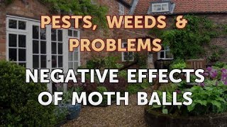 Negative Effects of Moth Balls