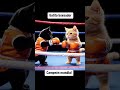 El #gatito #boxeador #campeon  #mundial