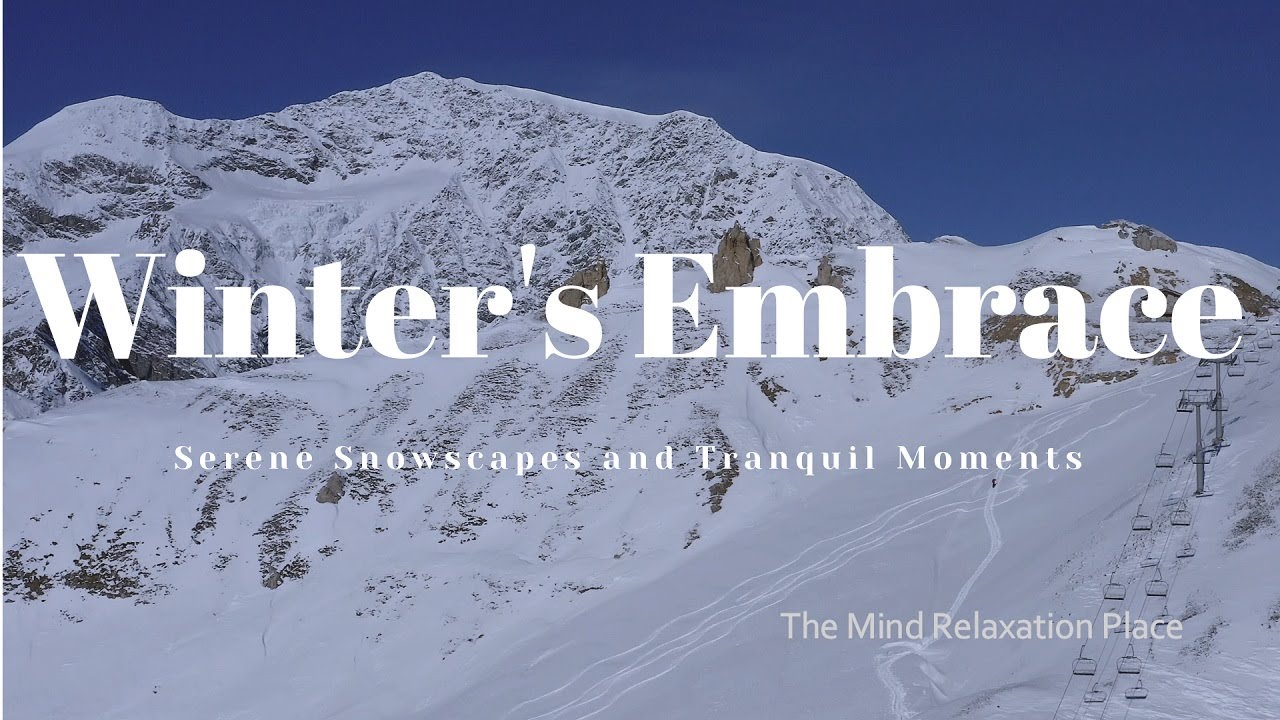 Winter's Embrace: Serene Snowscapes and Tranquil Moments