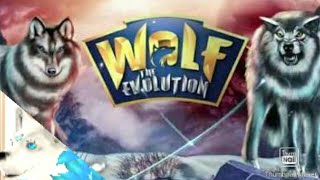 Wolf Evolution. I got a majestic wolf! Ep1
