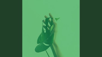 Groovy Backdrops for Unwinding from Work