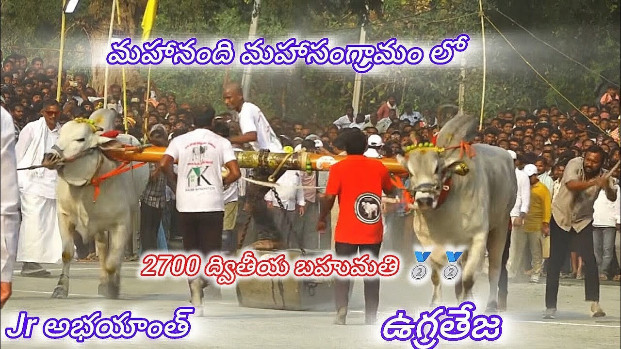 మహానంది సీనియర్స్ కాసంన్నేని.రాజాచౌదరి గారు + వల్లభనేని. మోహన్ రావు గారు 🌿🌿 2700 లాగి 🥈🥈🥈