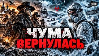 Скосит пол-России?! Вспышка ЧУМЫ в Сибири. Опасная зараза вылезла наружу