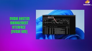 Famous 10 - NVIDIA System Management Interface (NVIDIA SMI) Net Worth