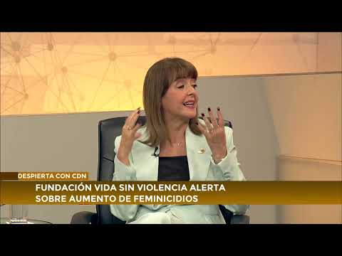 Fundación Vida Sin Violencia alerta sobre aumento de feminicidios