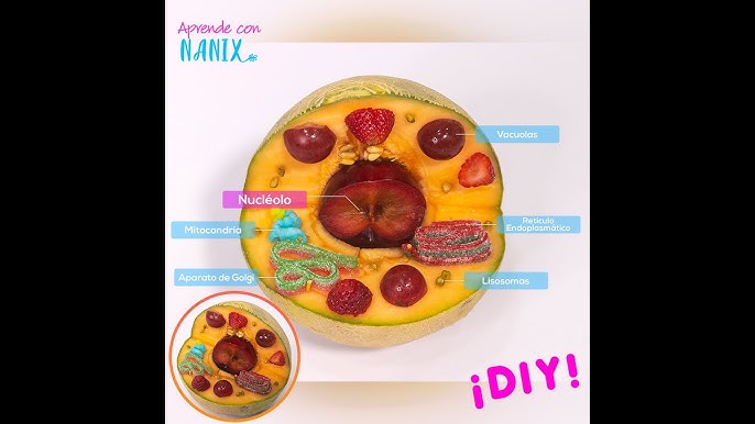 Maqueta Comestible -capas de la tierra 