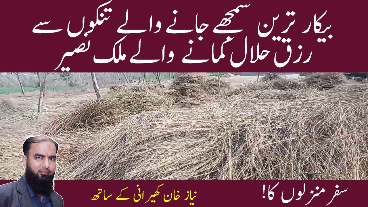 How to earn in Pakistan Earn from Useless strawsکمائیں بیکار ترین سمجھے جانے والے تنکوں سے رزق حلال