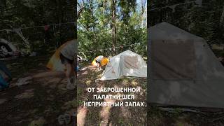 От заброшенной палатки начал исходить неприятный запах… #поход #палатка #фестиваль #музыка #хайкинг