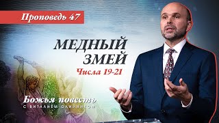 47. Божья повесть: Медный змей (Числа 19–21)