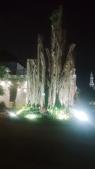 #ustadzadihidayatofficial #uah #ustadzadihidayat #public lecture #motivation #quotes #self-motiva...