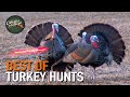 50 gobblers in 9 minutes ultimate turkey hunting compilation  best of