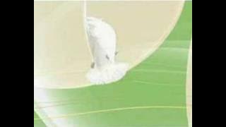 Image Promos - Identity 8