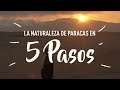 Piérdete en la maravillosa Reserva de Paracas 🌅