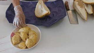 Amazing Durian Fruit Cutting | How to Cut and Open Durian Fruit at Home