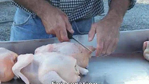 Poultry Processing Part 2