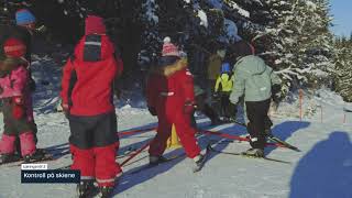 Skileik for barn: Hvordan lære barn å gå på ski?