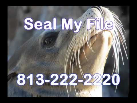 Criminal Record Expunge and Record Sealing Attorney Lawyer in Florida