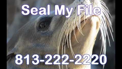 Criminal Record Expunge and Record Sealing Attorney Lawyer in Florida