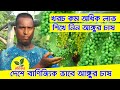 আঙ্গুর চাষ- বিস্ময়কর ফলন বছরে ৫ কাঠা জমিতে ৩০ মন Famous Grapes Farming in Bangladesh | Krishi kotha