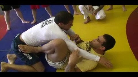 Werdum Technique