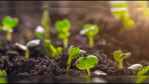 (إن لك في النهار سبحاً طويلا).سورة المزمل