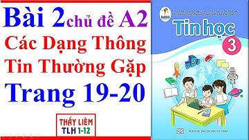 Tin Học Lớp 3 Bài 2 Chủ Đề A2 | Các Dạng Thông Tin Thường Gặp | Trang 19 - 20 | Cánh Diều