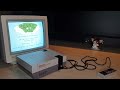 Middle of video