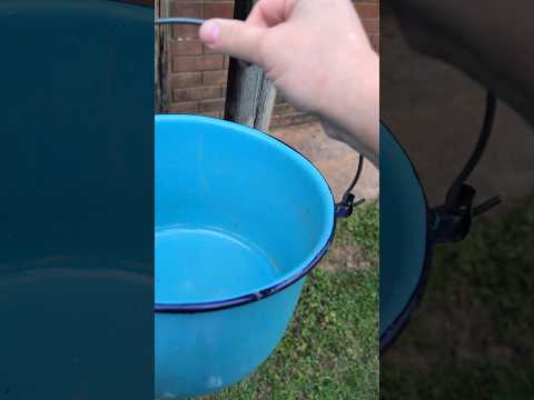 Metal Pot makes Beautiful Music