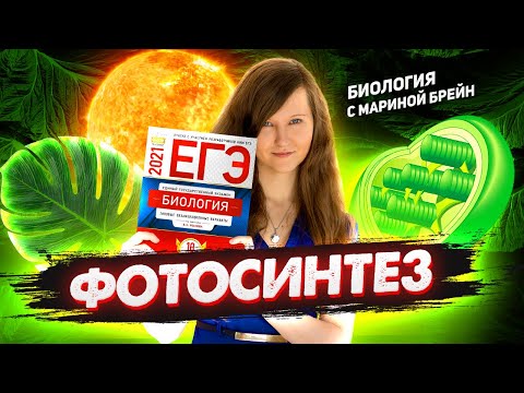 ВСЕ О ФОТОСИНТЕЗЕ | ЕГЭ ПО БИОЛОГИИ