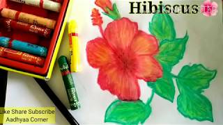 hibiscus drawing easy flower simple very way