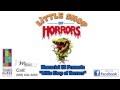 McAllen Memorial HS Choir presents &quot;Little Shop of Horrors&quot; Promo