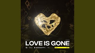 Love Is Gone