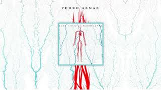 Pedro Aznar & Ramiro Gallo - El Violín De Becho