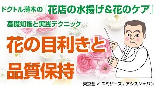 【プロが教える　生花の水揚げと花のケア～花もちのコツ】花の目利きと品質保持剤