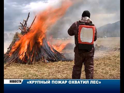 Новости Камчатки за 4 июня 2018