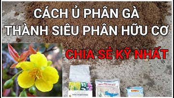 🔴 QBS2153 - CÁCH Ủ PHÂN GÀ VỚI TRICHODERMA || CÁCH Ủ PHÂN GÀ THÀNH SIÊU PHÂN BÓN HỮU CƠ CHO MAI VÀNG